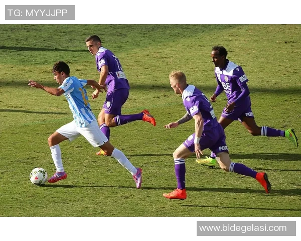 波士顿足球明星的辉煌历程与对城市文化的深远影响